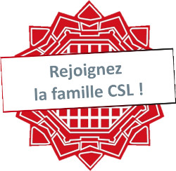 Macaron recrutement.jpg